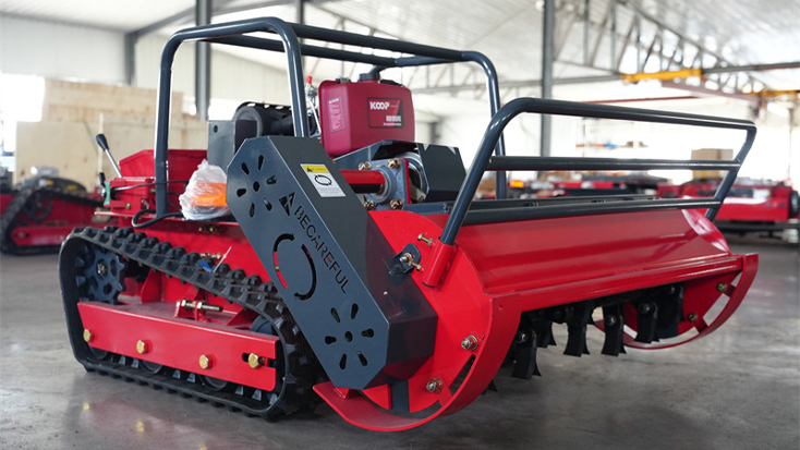 Digital library and e-books