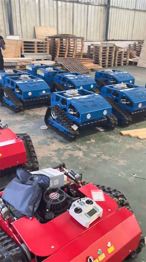 Lawn Mower Factory Workshop