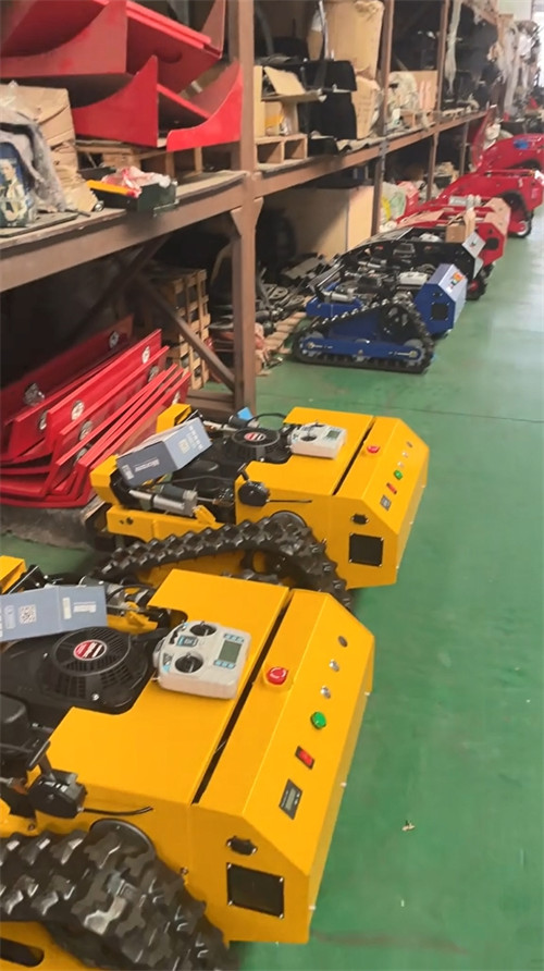 Lawn Mower Factory Workshop