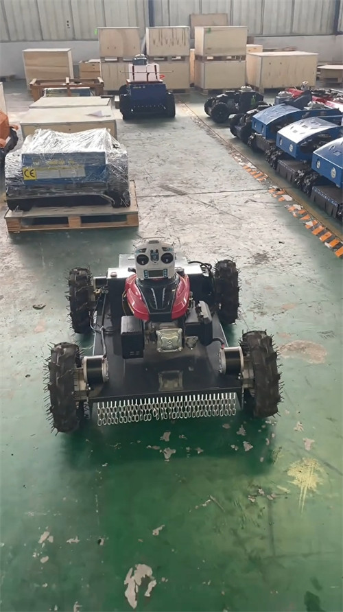 Lawn Mower Factory Workshop