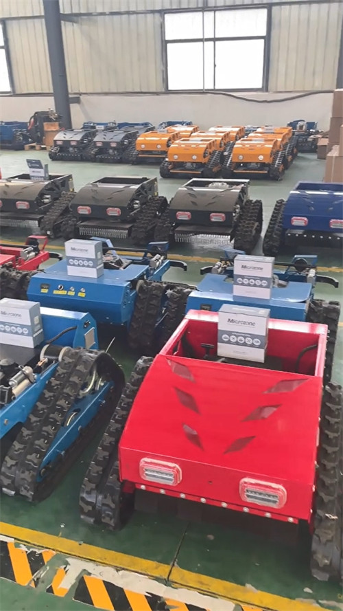 Lawn Mower Factory Workshop