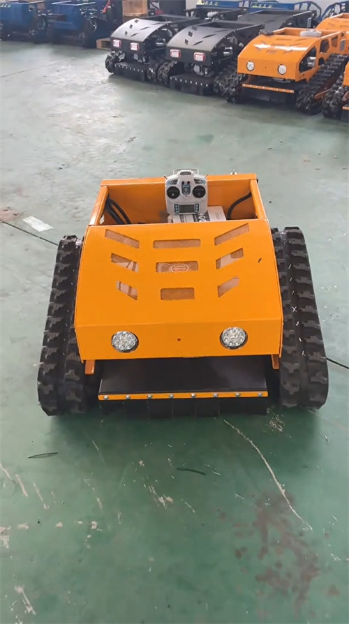 Lawn Mower Factory Workshop