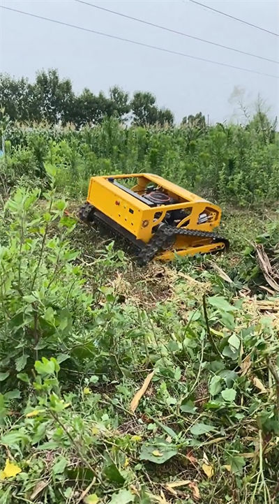 HS224 lawn mowing operation