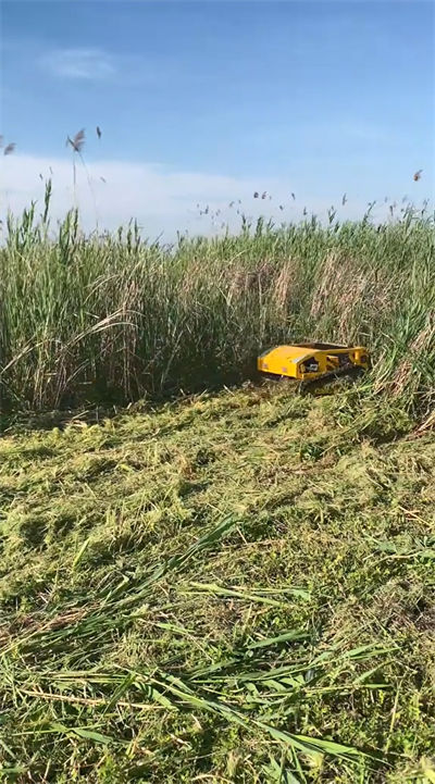 HS224 lawn mowing operation