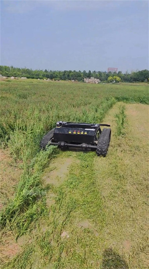 TANK Series Lawn Mower Display