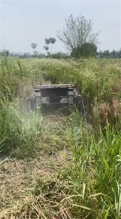 TANK Series Lawn Mower Display