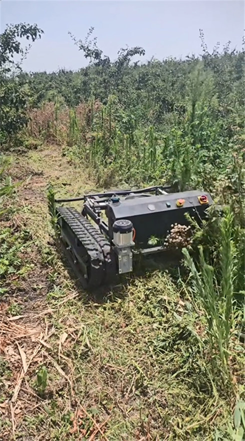 TANK Series Lawn Mower Display