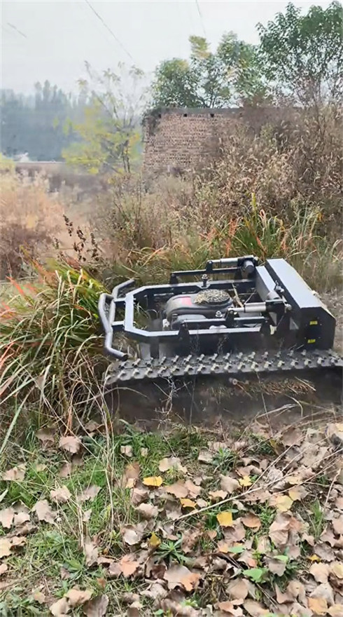 TANK Series Lawn Mower Display