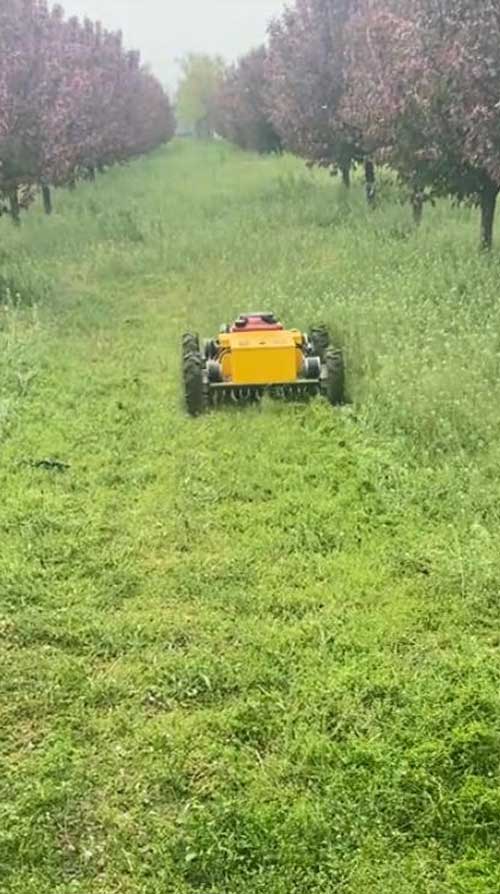 crawler-type Lawnmower