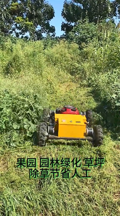 crawler-type Lawnmower