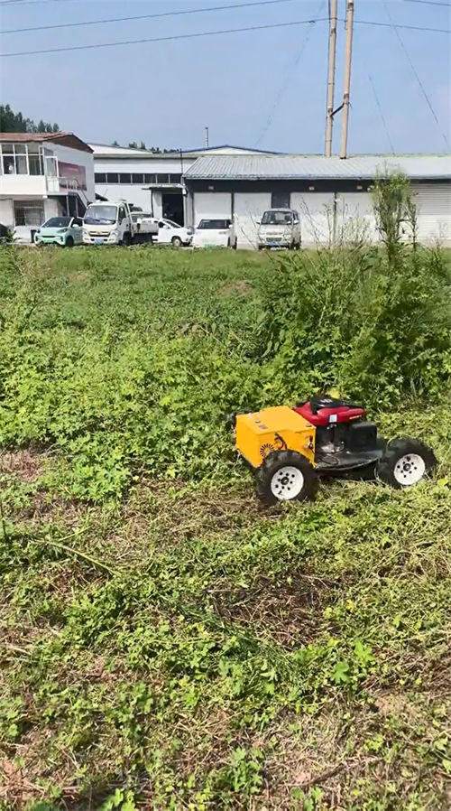 crawler-type Lawnmower