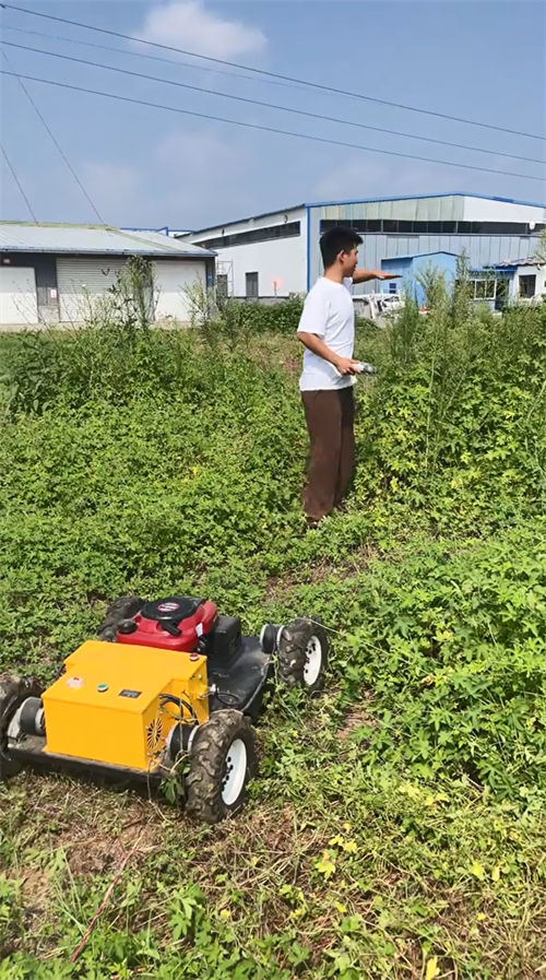 crawler-type Lawnmower