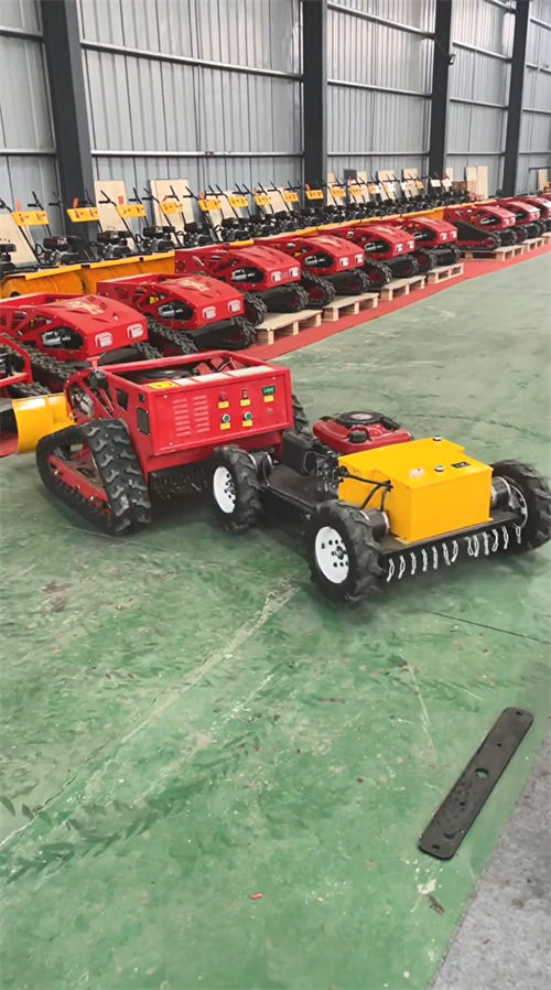 crawler-type Lawnmower