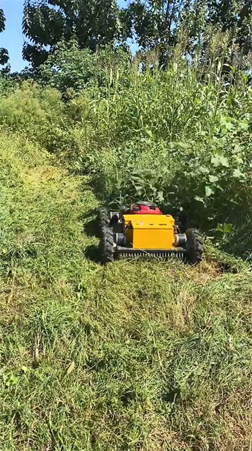 crawler-type Lawnmower